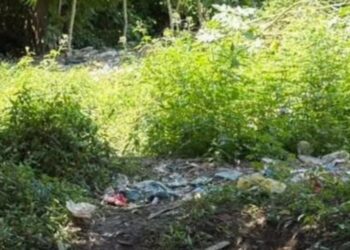 Perro llegó con un hueso en la boca y destapó macabro hallazgo en Me Quejo, Barranquilla