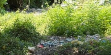 Perro llegó con un hueso en la boca y destapó macabro hallazgo en Me Quejo, Barranquilla