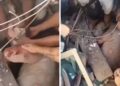 Video | Bebé y su madre fueron rescatados con vida tras quedar bajo escombros en Cali