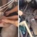 Video | Bebé y su madre fueron rescatados con vida tras quedar bajo escombros en Cali